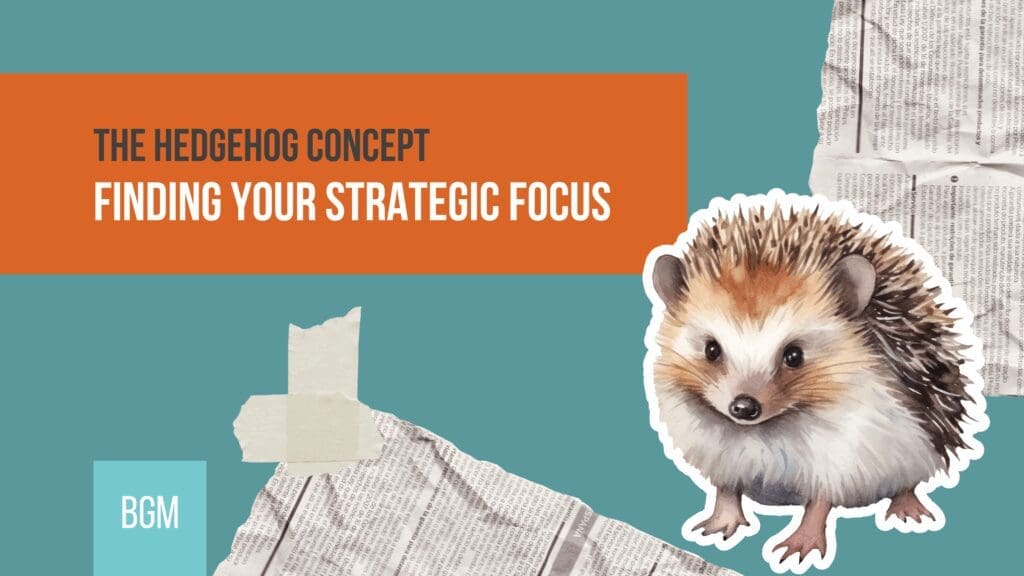 The Hedgehog Concept by Kristian Livolsi